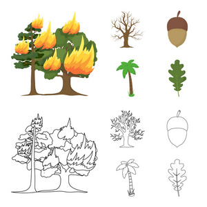 烧树, 棕榈, 橡子, 干树。森林集合图标在卡通, 轮廓风格矢量符号股票插画网站