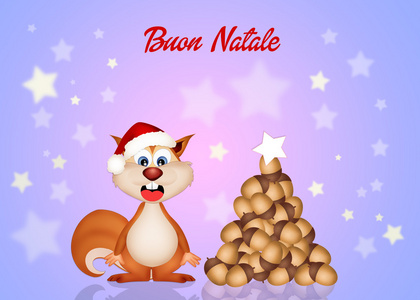 松鼠在圣诞节图片