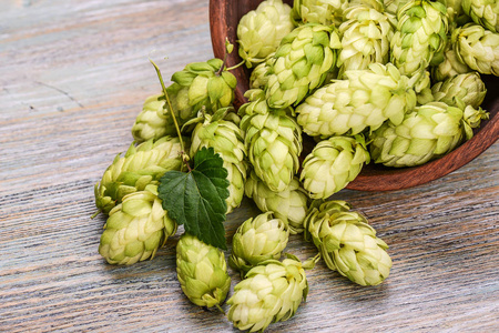 啤酒花和小麦, 大麦, 麦芽酿造啤酒上木制的背景照片