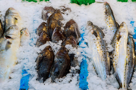 在市场中的新鲜鱼类