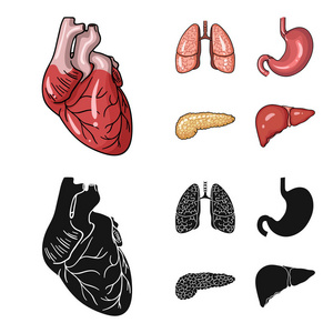 心肺胃胰人体器官集合图标在卡通, 黑色风格矢量符号股票插画网站