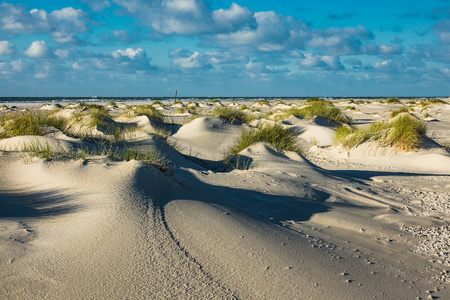 沙丘上北海岛 Amrum 德国