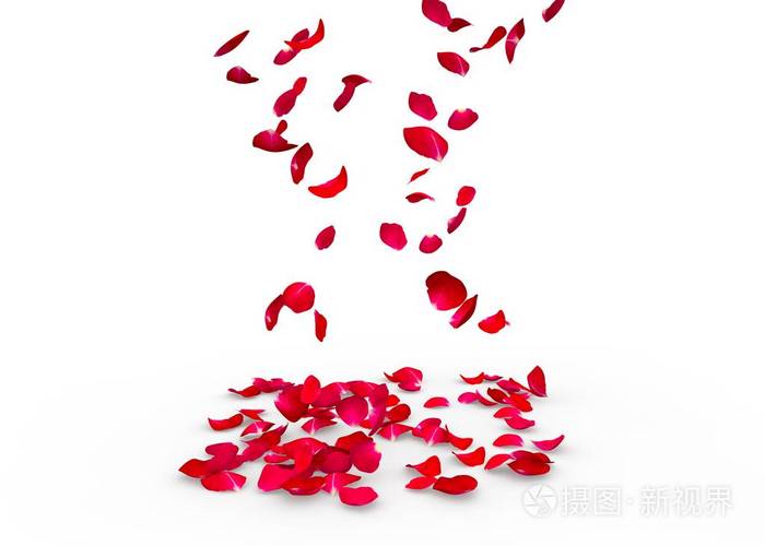 玫瑰花瓣掉在地上