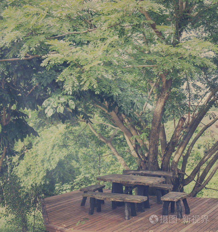 木桌子和椅子在树下