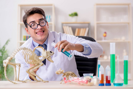 实验室诊所里有猫骨架的滑稽科学家