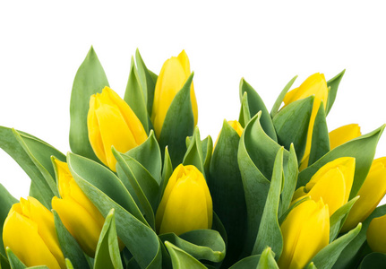 一束黄色的郁金香, 复制空间。春季鲜花, 母亲节样机, 情人节或婚宴贺卡