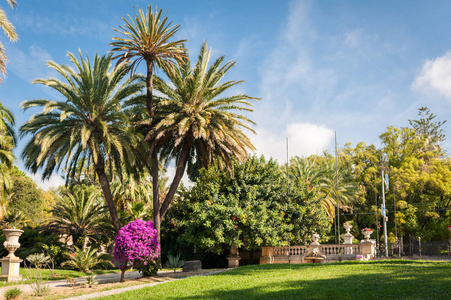 美丽的花园，棕榈树跟喷泉在圣雷莫