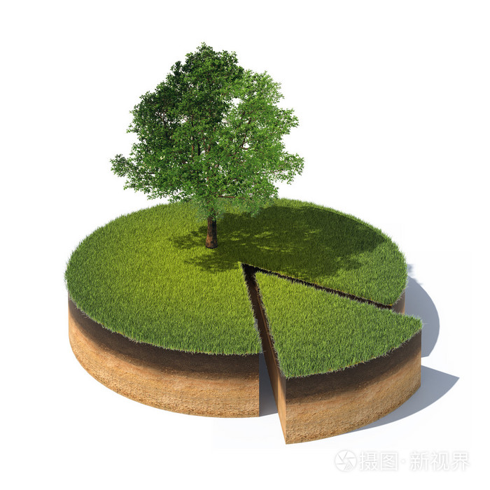 截面的草和树的地面照片 正版商用图片0ge028 摄图新视界 截面的草和树的地面照片 正版商用图片0ge028 摄图新视界