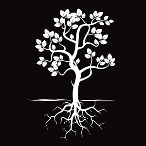 白根图片-白根素材-白根插画-摄图新视界