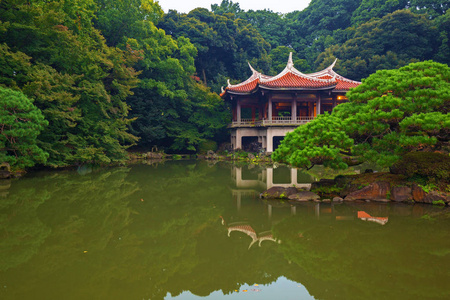 秋天在新宿公园，日本，东京