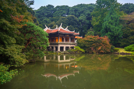 秋天在新宿公园，日本，东京