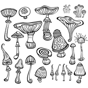 素描的蘑菇一套