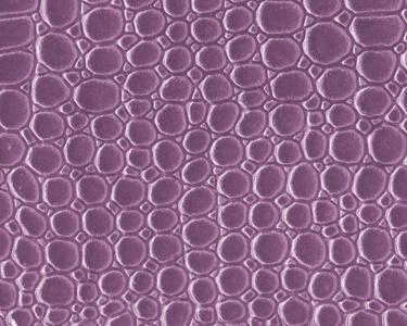 紫罗兰色的人工蛇皮肤纹理特写图片