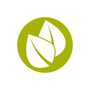 两个绿色的树叶图片