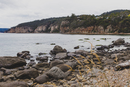 荒凉的海滩在霍巴特, 塔斯马尼亚与岩石在前景