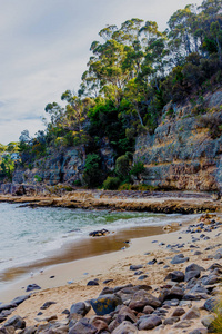 塔斯马尼亚海滩与岩石和灌木树的细节视图
