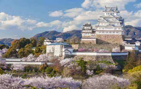 日本姬路城堡, 白色苍鹭城堡在樱花樱季节