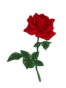 一朵红玫瑰
