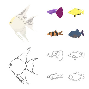 Botia, 小丑, 食人鱼, 丽, 蜂鸟, 孔雀, 鱼集合图标卡通, 轮廓风格矢量符号股票插画网站