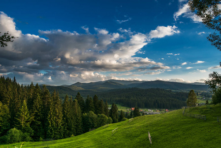 在山的夏天风景