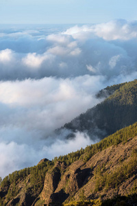 teide 国家公园, 特内里费岛, 加那利群岛, 西班牙的森林云海