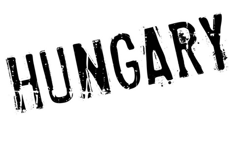 匈牙利邮票橡胶 grunge