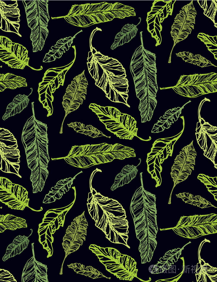 手绘涂鸦图案与棕榈树叶子.热带树叶