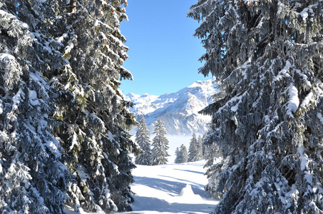 Braunwald，瑞士在冬天