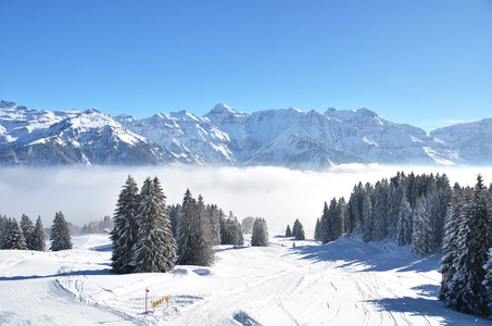 Braunwald，瑞士在冬天