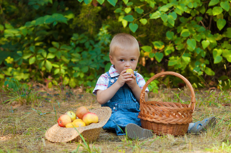 一篮子苹果在公园里的小男孩