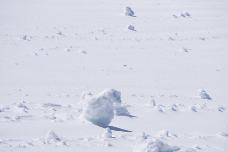 冬天的雪，一丛丛