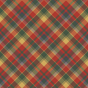 红绿格子花纹织造无缝花纹照片