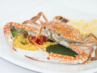 马蟹图片