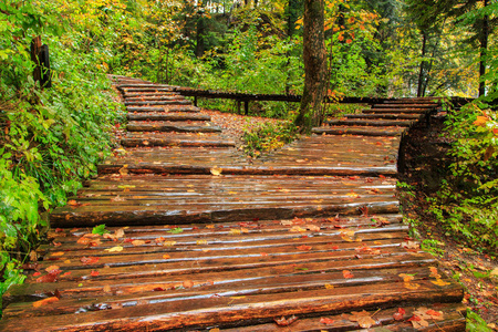 下雨天和木制旅游路径在十六