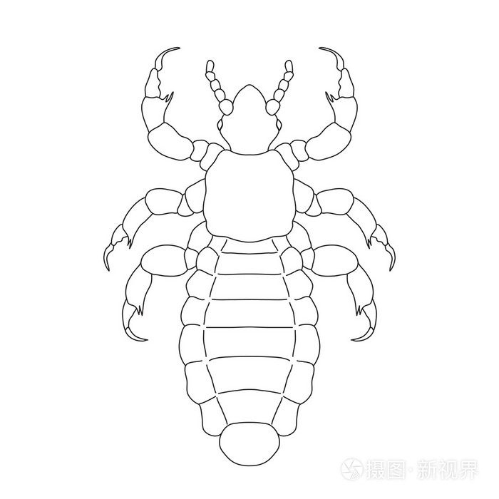 孤立在白色背景上的虱子插画-正版商用图片0gfi3p-摄图新视界