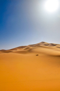 撒哈拉大沙漠。摩洛哥