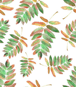 复杂的五彩的罗文树叶图案