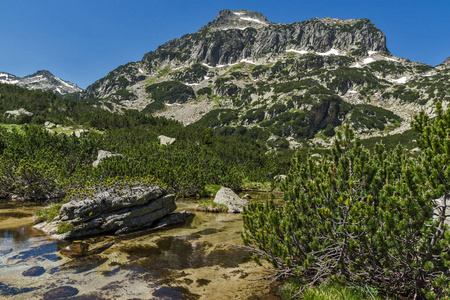 Dzhangal 峰值和 Banski 湖，皮林山