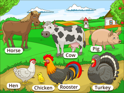 农场动物名称与动漫教育图片