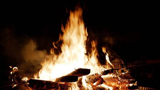 着火了篝火特写。篝火在夜里燃烧树木。篝火燃烧明亮, 炎热, 轻, 露营