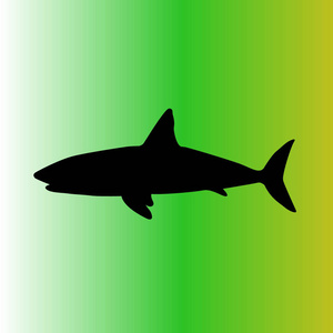 简单的鲨鱼矢量图标