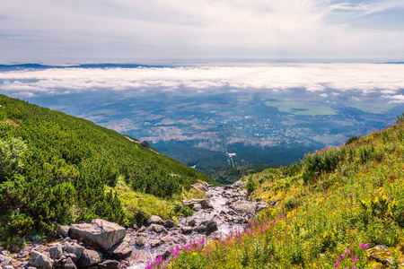 看入风景在高 Tatras 的山之下