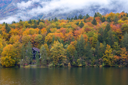美丽的秋天景物在渤兴湖