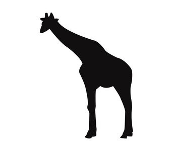 说明在白色背景上的长颈鹿剪影