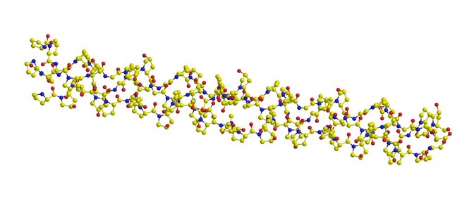 胶原蛋白分子结构图片