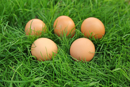 在绿色草地上的生鸡蛋