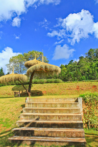 美丽的夏天公园