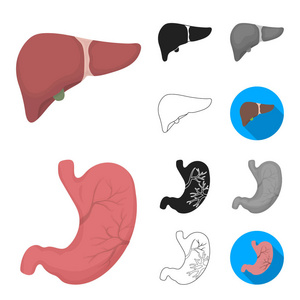 人体内器官的卡通, 黑色, 平面, 单色, 轮廓图标在集合中进行设计。解剖学和医学载体符号股票 web 插图
