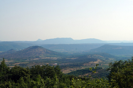 山和树