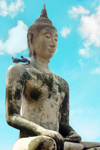 白色背景上的佛祖雕像，两只鸟在他的肩上，晴朗的天空和白色的云